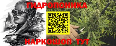 apvp Лесосибирск