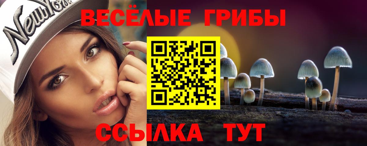 Великие Луки  Галлюциногенные грибы мицелий  Вход с VPN 