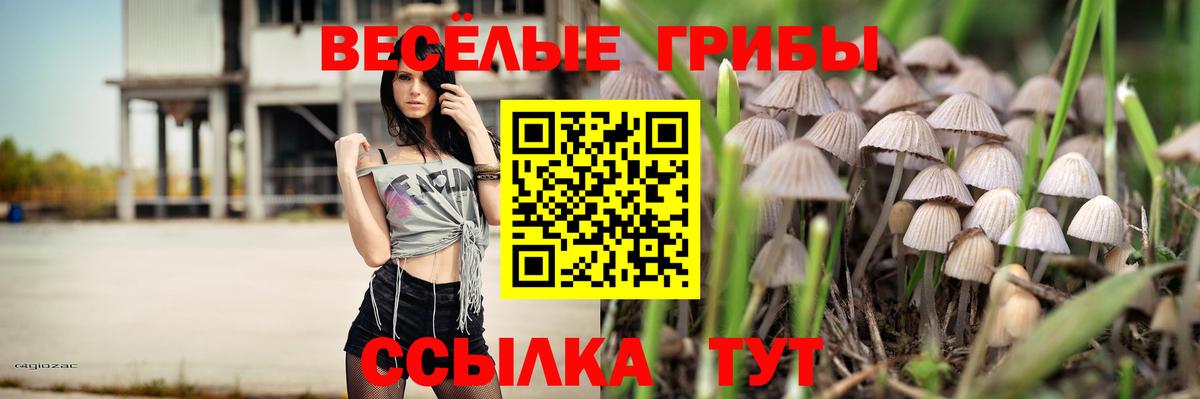 Псилоцибиновые грибы ЛСД Великие Луки